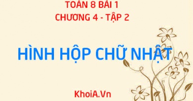Hình hộp chữ nhật là hình như thế nào? có bao nhiêu cạnh? đường thẳng và mặt phẳng - Toán 8 bài 1 chương 4 tập 2